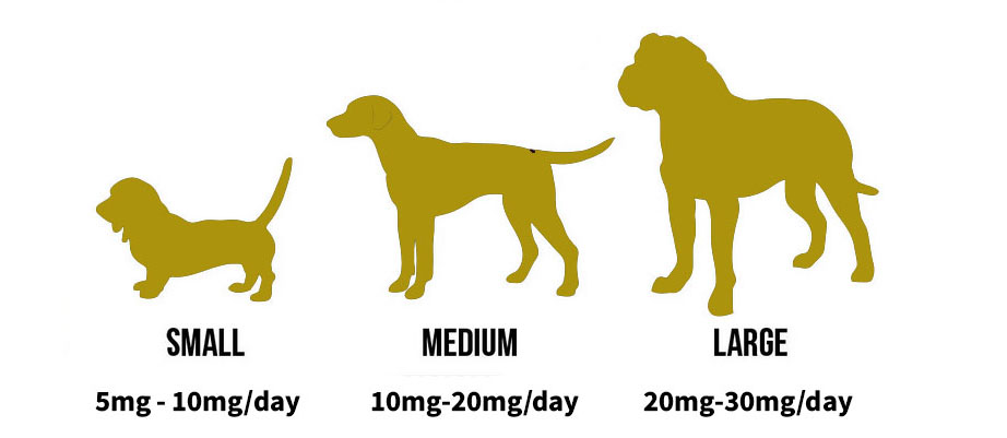 CBD Dosage Chart for Dogs